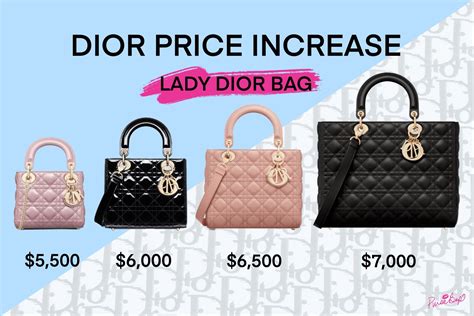 lady dior japan price|lady dior euro price.